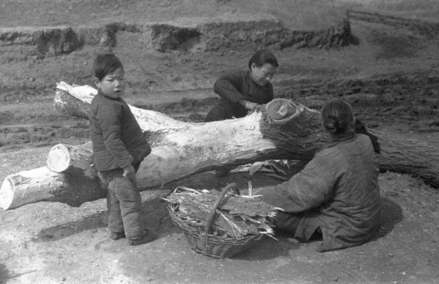 Интересные и редкие фотографии