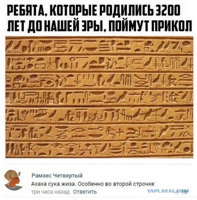 Подборка школьного юмора на любителя