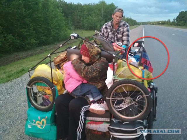Едут из Омска к Путину в Москву