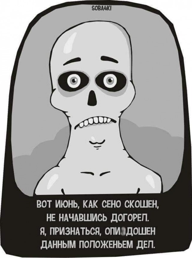 Смешные и не очень картинки из этих ваших интернетов