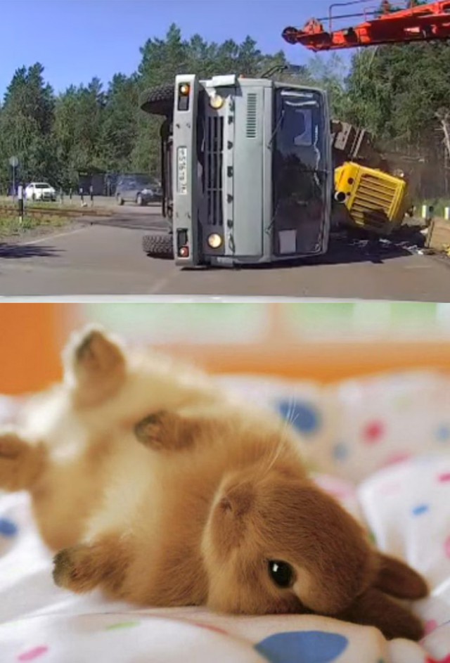 Ты не пройдешь!