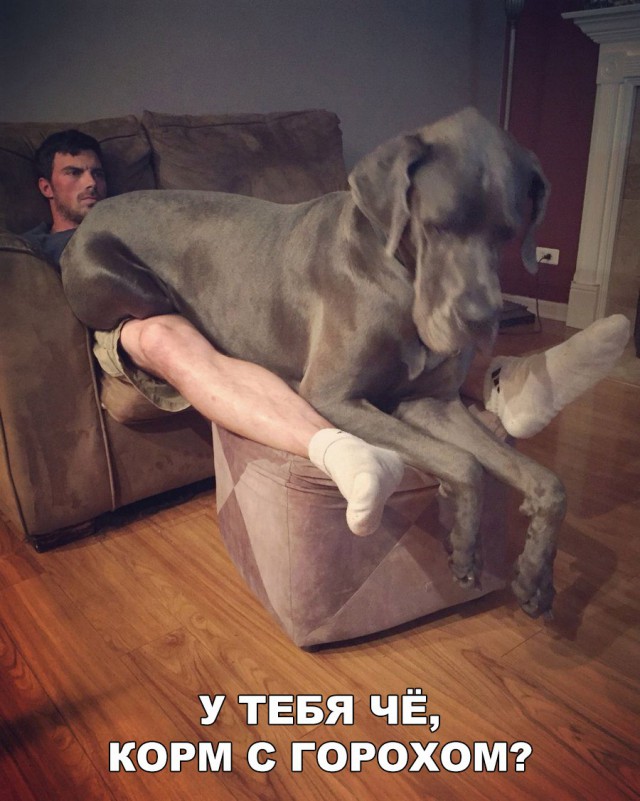 Нестандартный юмор