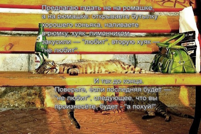 Умные мысли - 17