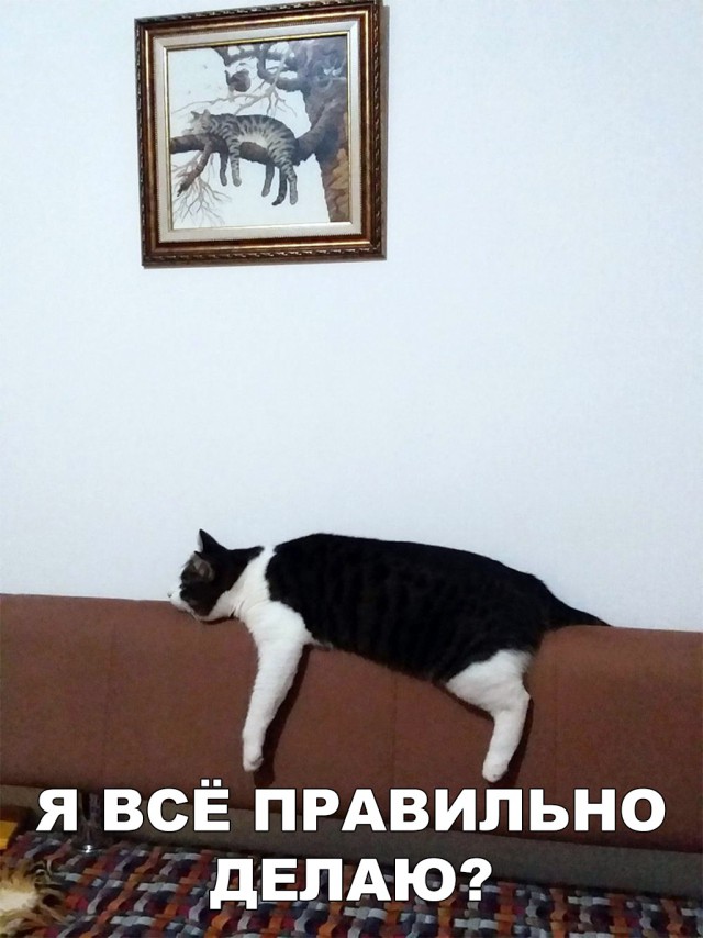 Немного милоты