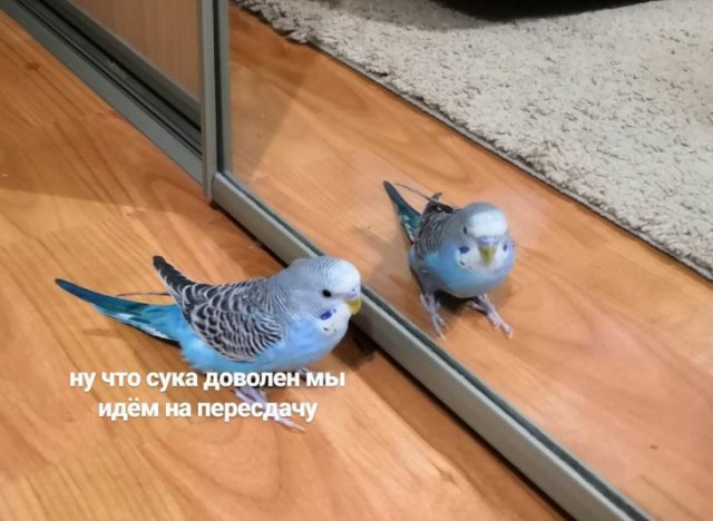 Немного картинок для настроения
