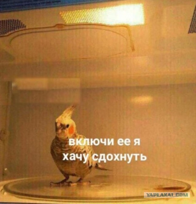Если ты женат на б**ди!