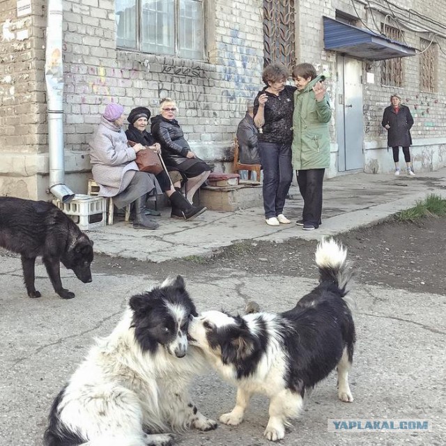 Вежливые зеленые человечки и литовский городок