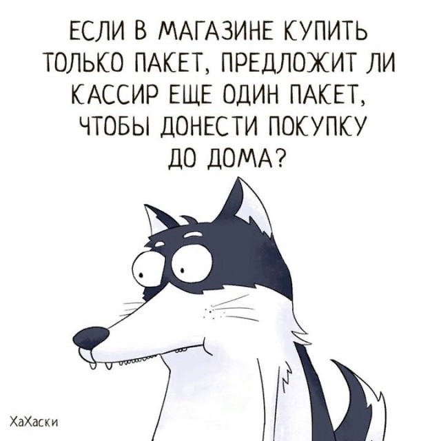 Картинки с надписями, истории и анекдоты 08.10.19