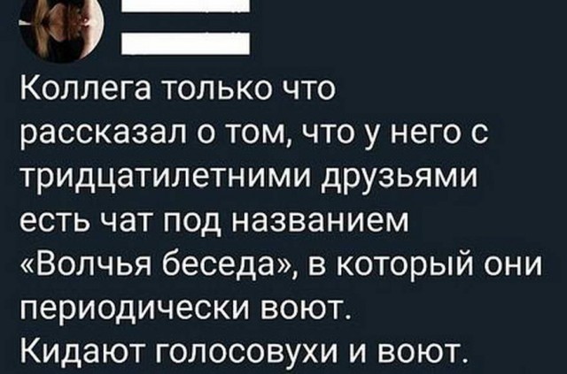 Немного картинок для настроения 12.12.19