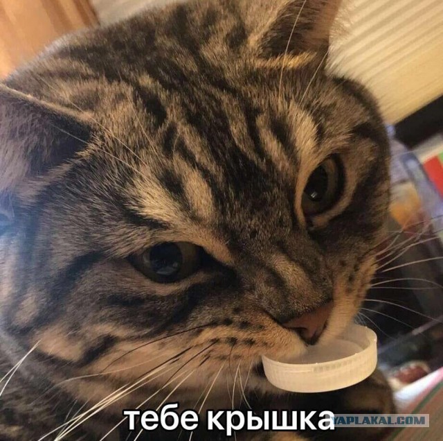 Намечалось немного картинок