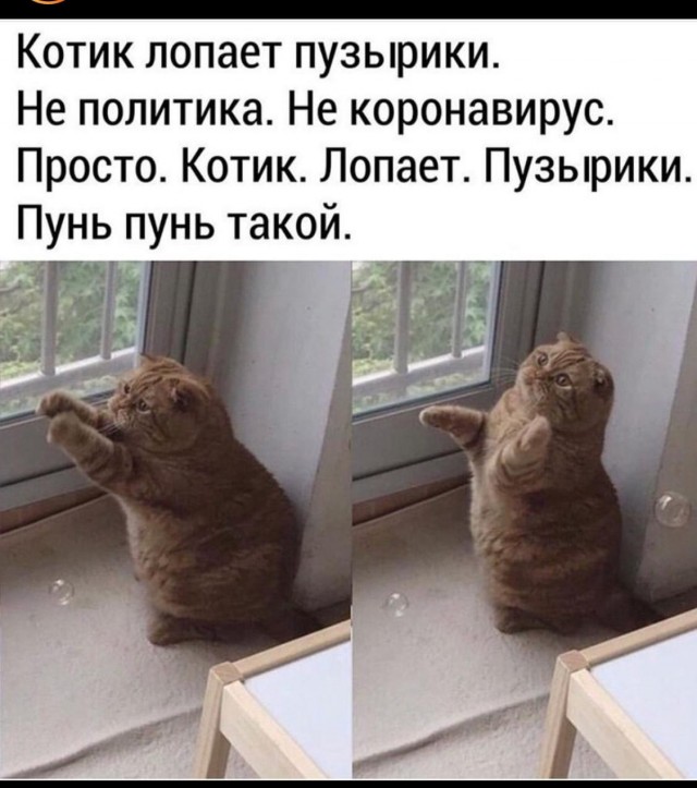 До печенок достали.