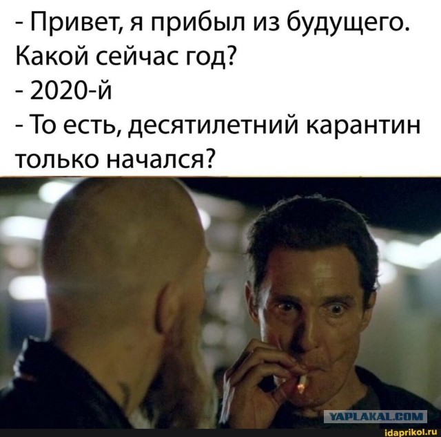 Большое выступление Путина по ситуации с коронавирусом. Прямая трансляция
