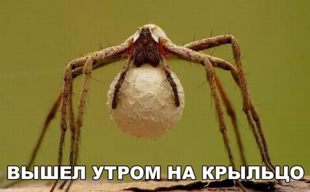 Так себе картинки 01.06.20