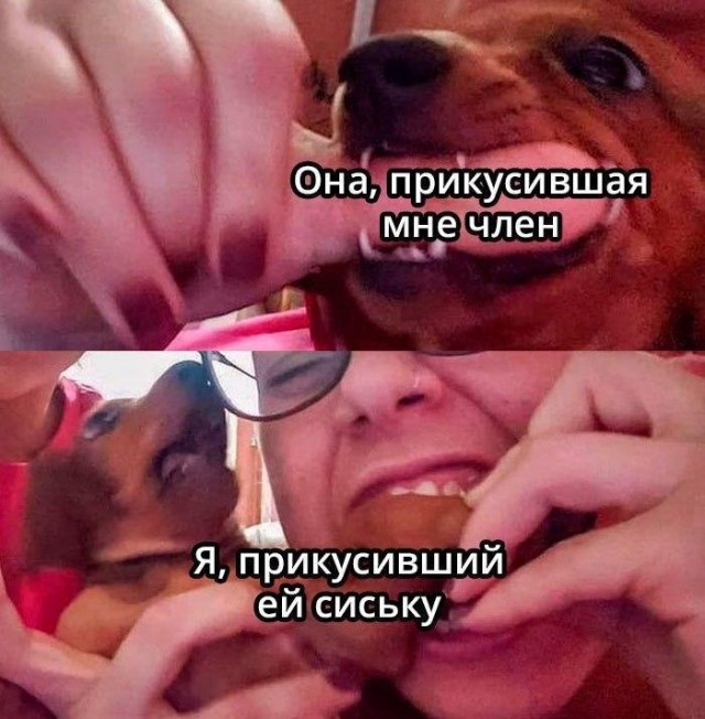 Очень пошлые картинки про это.18+