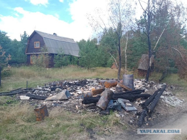 Что говорят мужчины о пышных женщинах