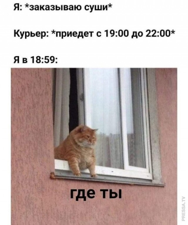 Немного картинок для настроения 11.11.20