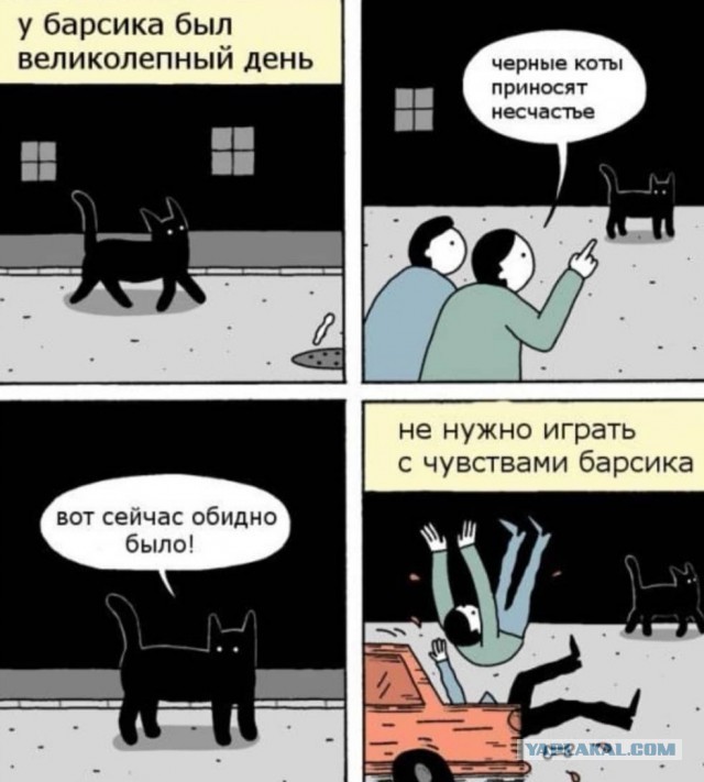Чепухень на каждый день