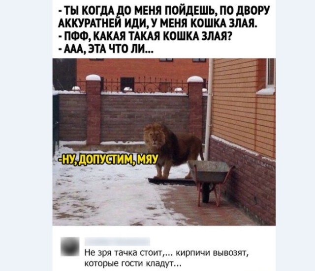 Картинки и мемы для настроения 008