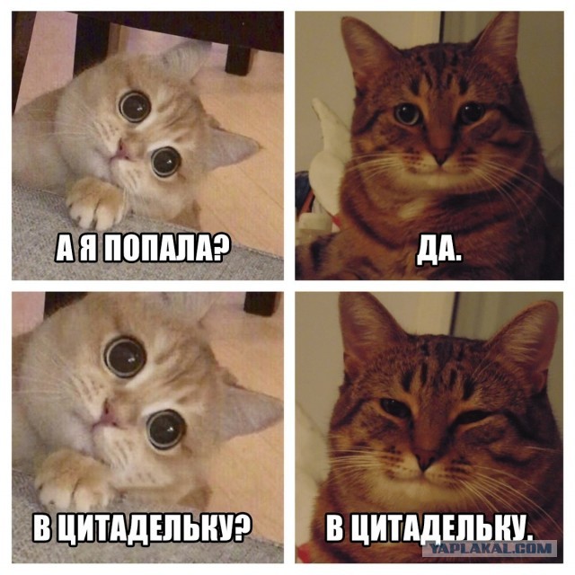 World of Warships - 9