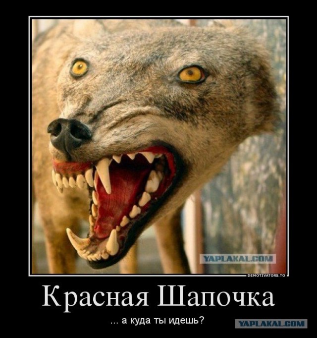 Таксидермия + наркомания
