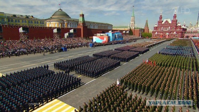 Команда Навального анонсировала новые акции протеста на следующих выходных