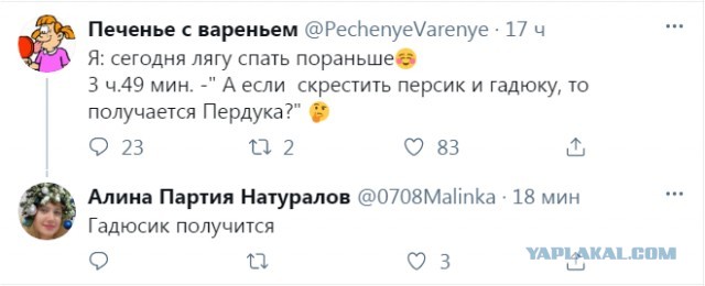 Бредзона 10.02.21