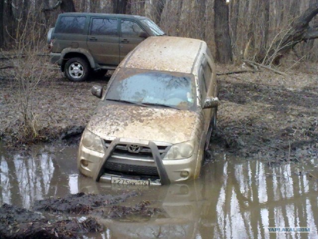 На Шершни в глиноговны