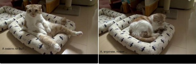 Не трожь меня, старушка, я в печали
