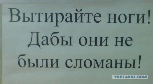 Шлеп! "Что у вас здесь происходит?!"