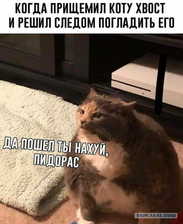 Так себе картинки 11.03.2021