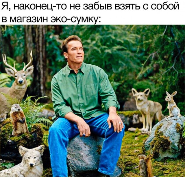 Весёлый полтишок 23.03