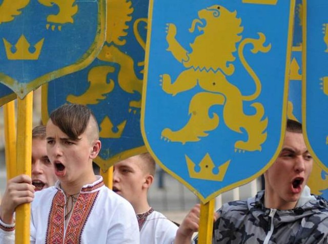 Мнение жительницы Харькова о шествии в честь Дня вышиванки.