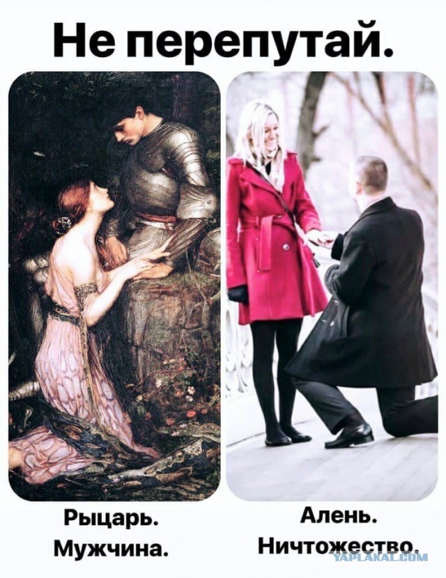 Предложение руки и сердца