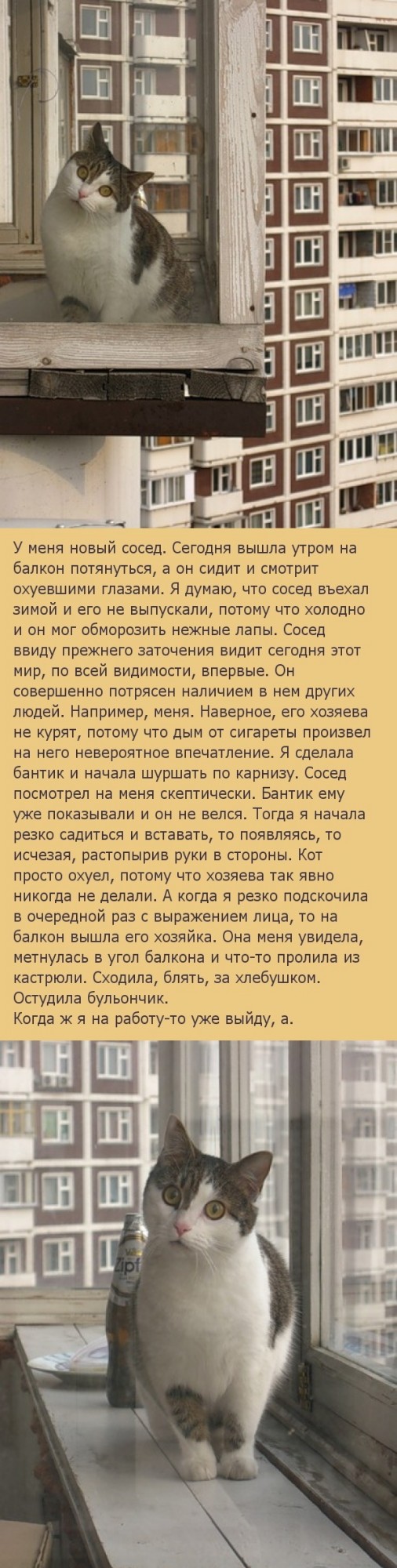 Контакт с пришельцами установлен