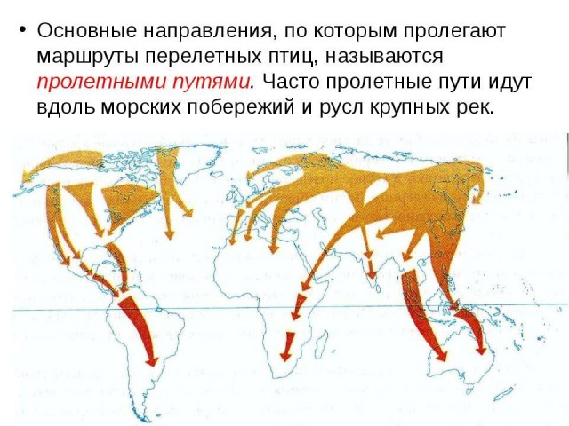 Пандемия. Коронавирус. Россия и мир. Последняя информация. Часть 23