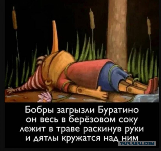 Бредзона 08.08.21