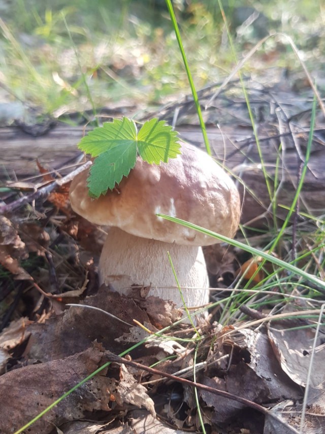 Нет покоя увлечённым