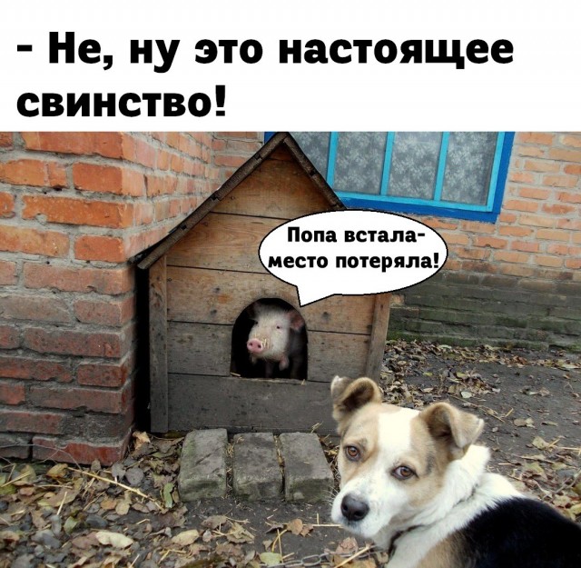 Баянисто-небаянистый юмор. 13.09.21