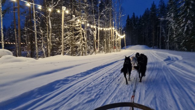 Колесо прохудилось