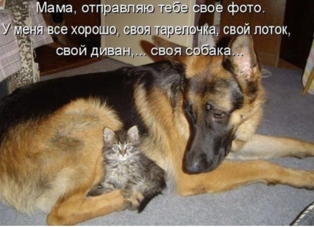 Пятница. Вечер. Картинки всякие...