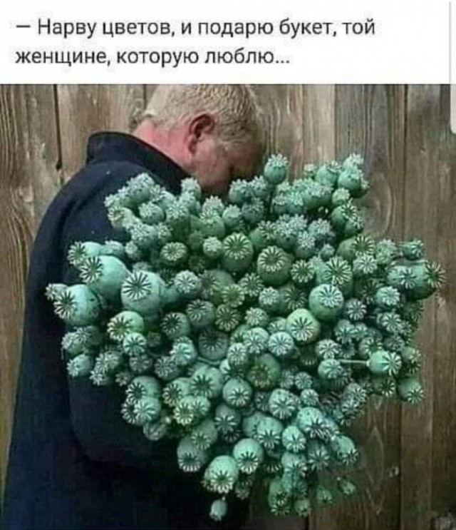 7 запрещенных растений, за посадку которых можно получить штраф или попасть в тюрьму