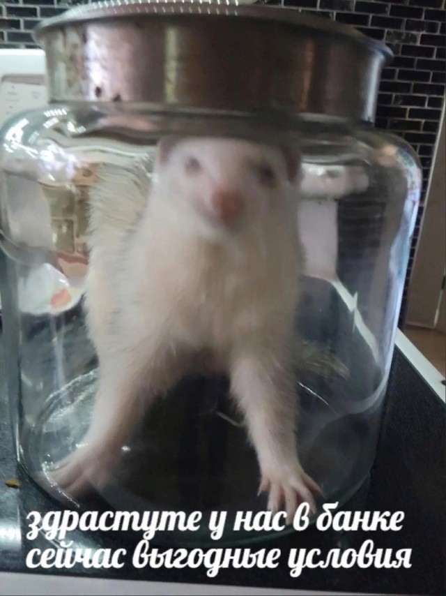 40 картинок разных 26.05.2022