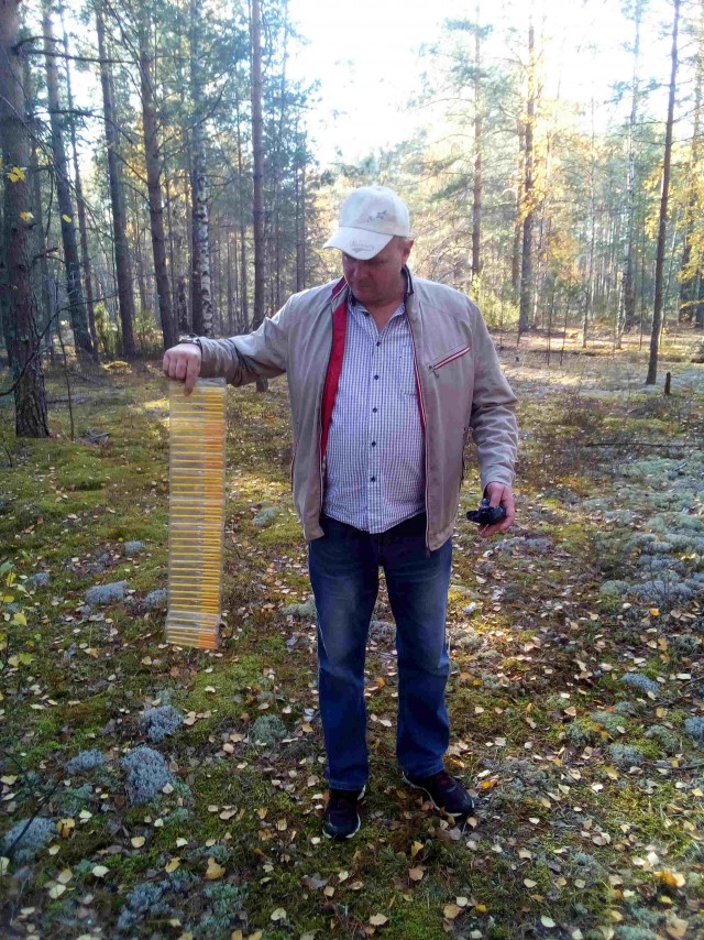 Находка в лесу