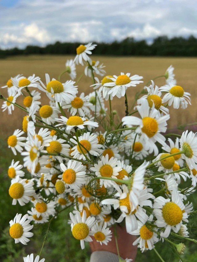 Дочь завидует эскортницам. Что делать?