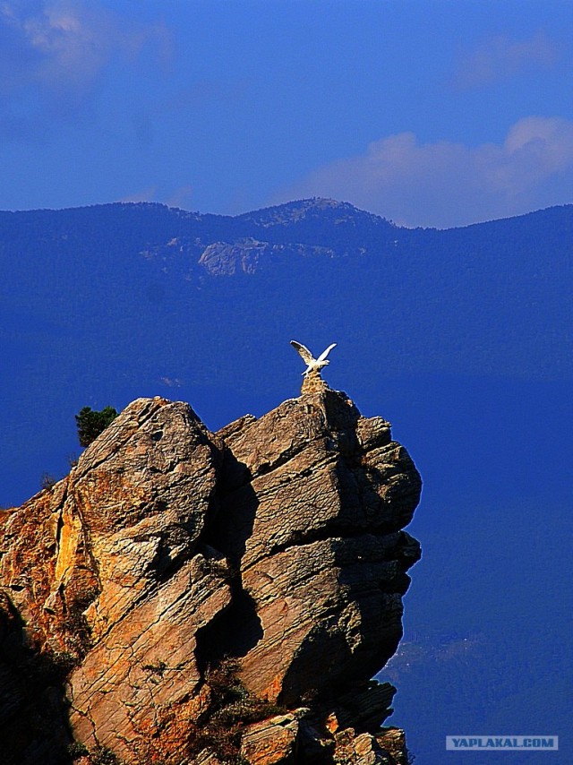 Прогулка по Крыму