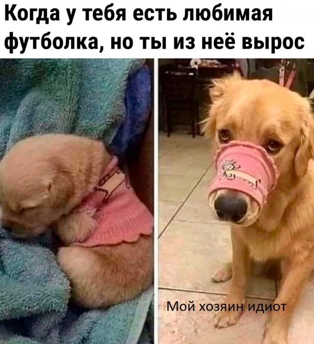 Так себе картинки 17.09.22