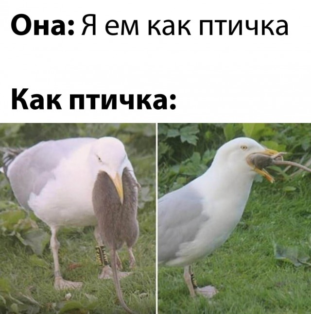 Так себе картинки 10.10.22