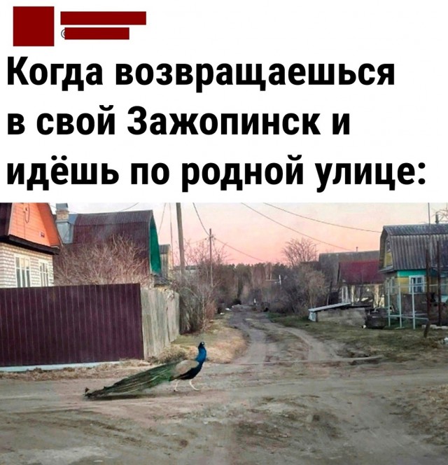 Так себе картинки 18.10.22