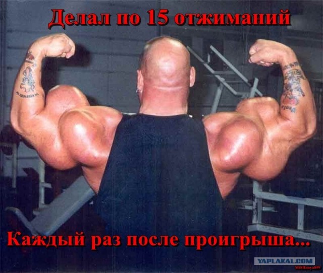 Wargaming 3