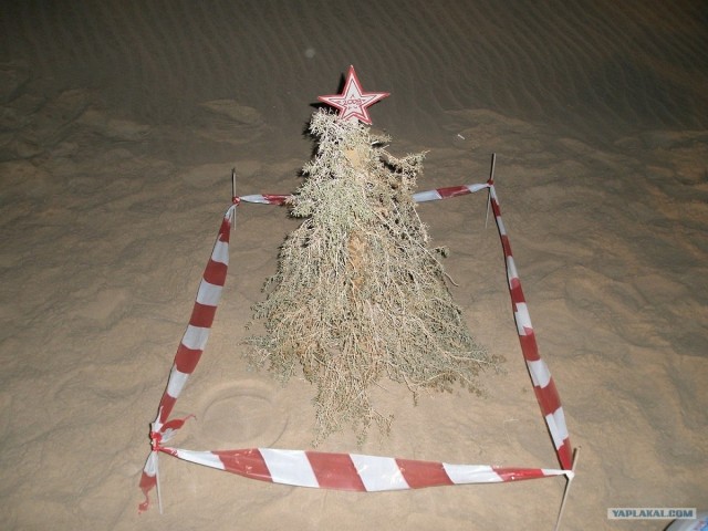 Саудовская Аравия